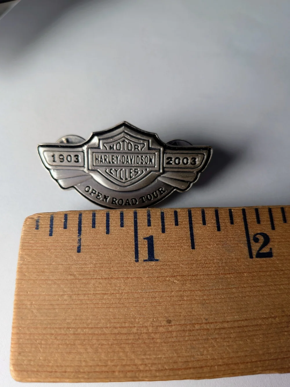 Harley-Davidson Men’s Silver Open Road Badge Pin